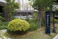 君悦黄金海岸23
