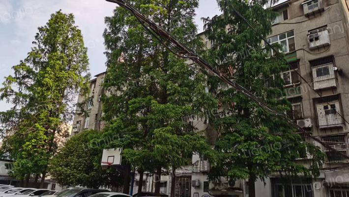 商校家属院外景图