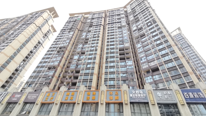 中洲天御二期外景图