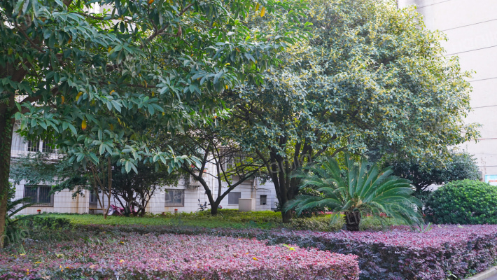 湖南省审计科研培训所外景图