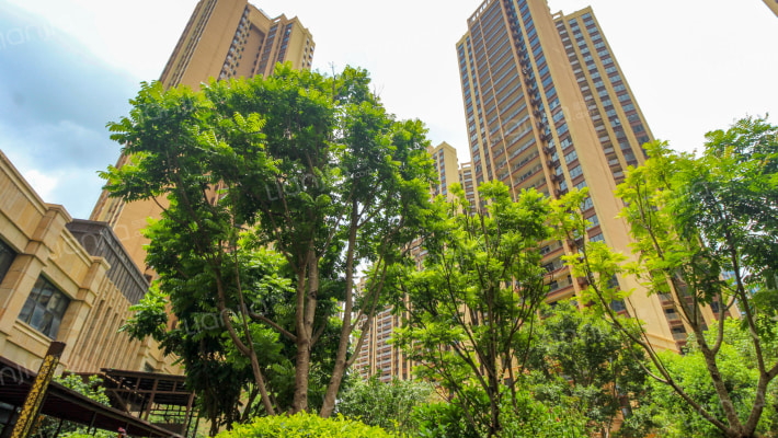 东方铂悦府外景图