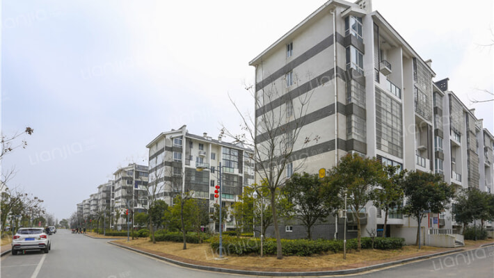 龙园新村外景图