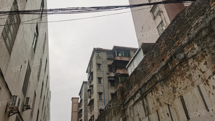 粮所小区外景图