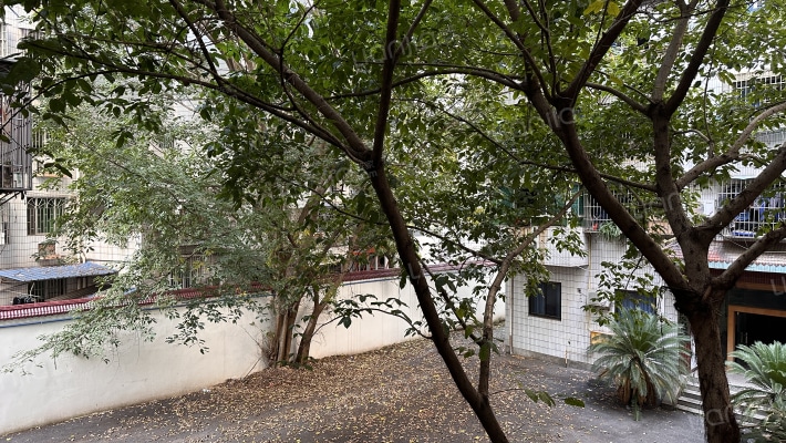 人大家属院外景图