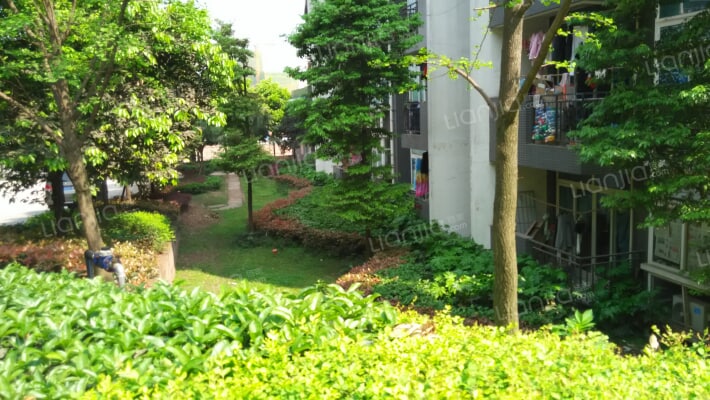 蓝领公寓外景图