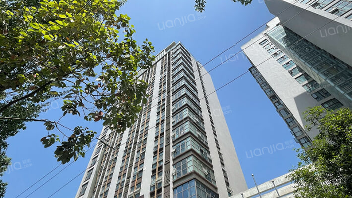 沙河绿洲外景图