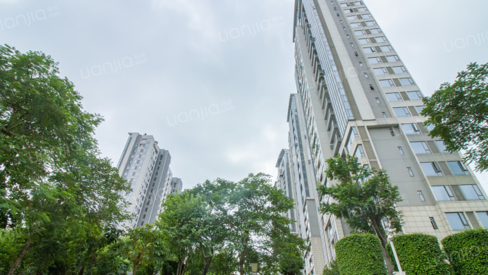 星晨时代豪庭外景图