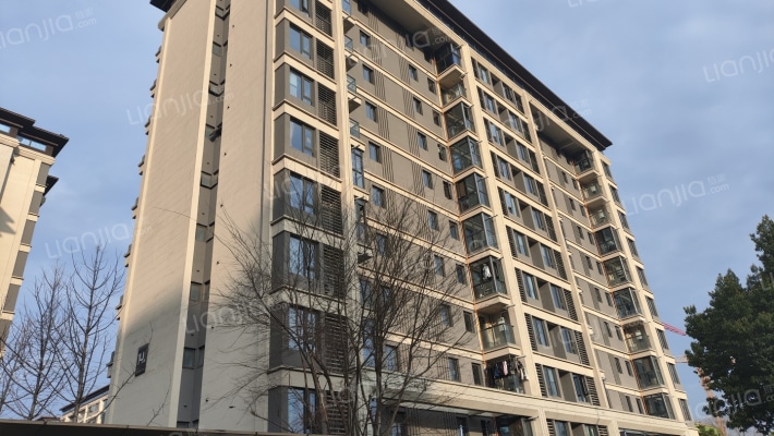 东原中业印江洲外景图