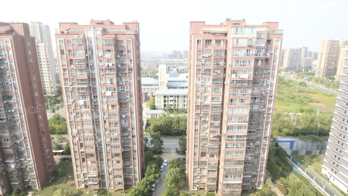 八林新寓二期外景图