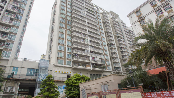 新华大厦外景图