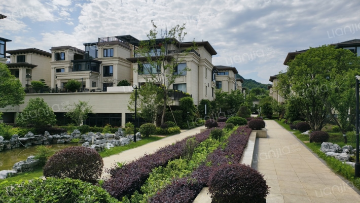 阿里山庄外景图