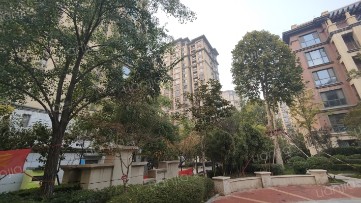 金麦加西北汇外景图