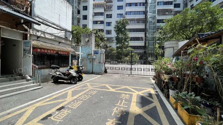 市府路10号外景图