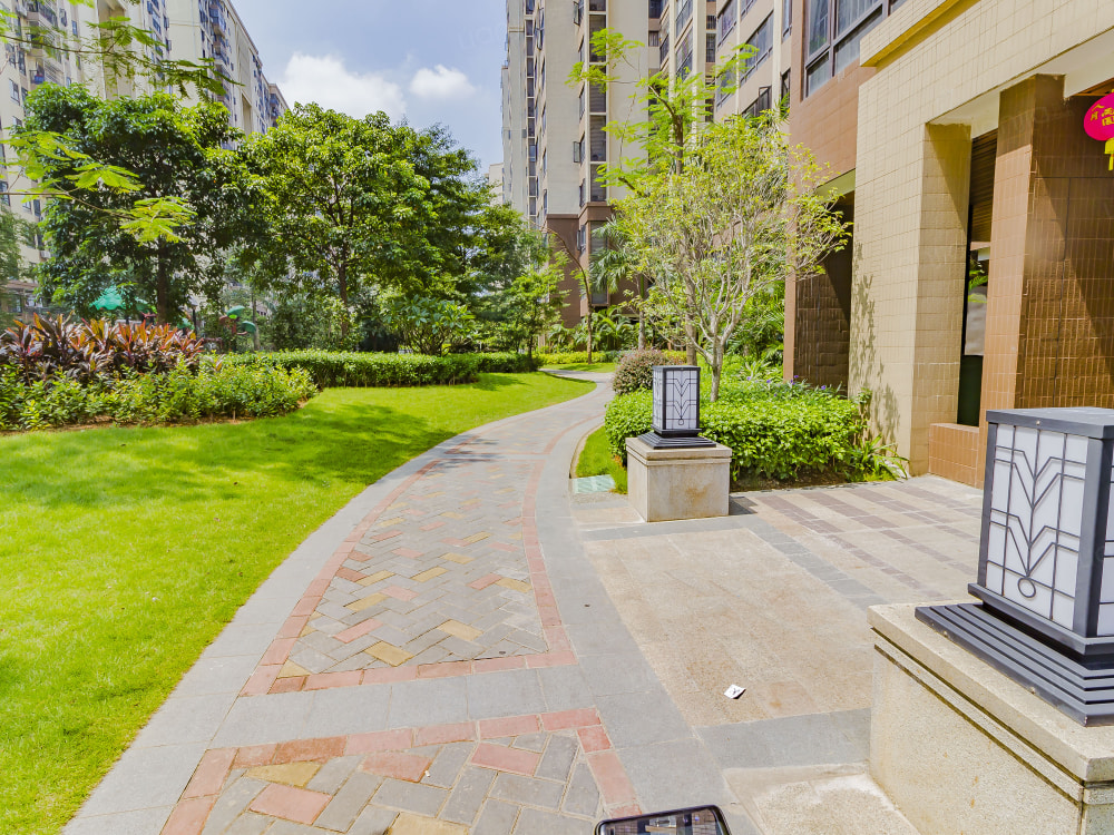 光明花半里相册