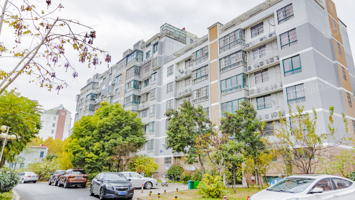 日月星城东区外景图