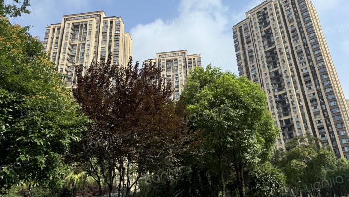 鲁能九龙花园外景图