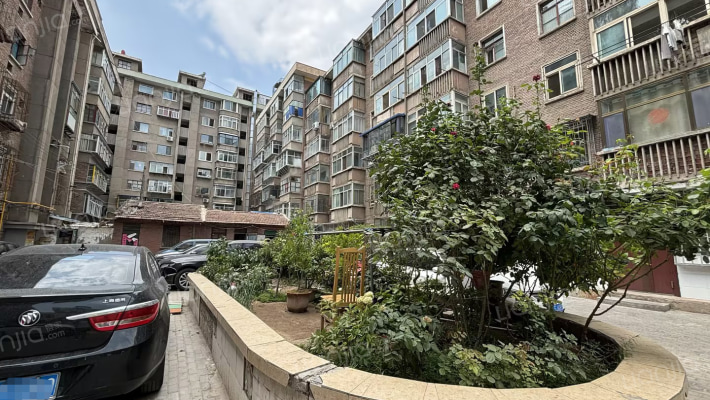 新厦开发公司家属院外景图