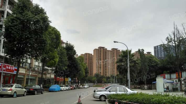 美洲花园二期外景图