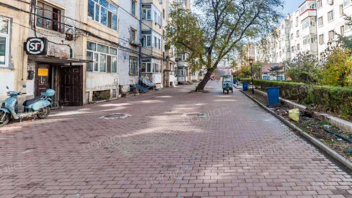 龙职师苑外景图