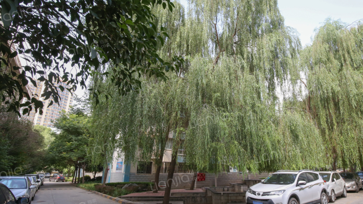 兰州供电局郑家庄生活小区外景图