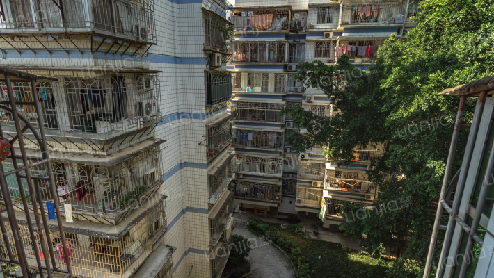 花香园新村外景图