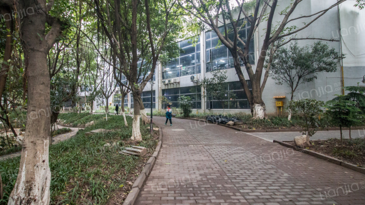 翠堤春晓外景图