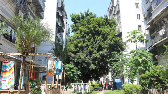 侨建花园外景图