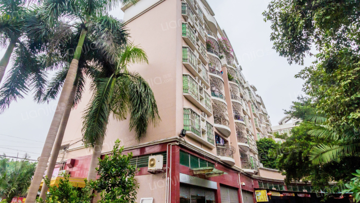 世纪广场商住楼外景图