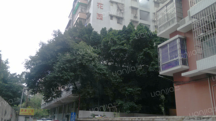 新新花园外景图