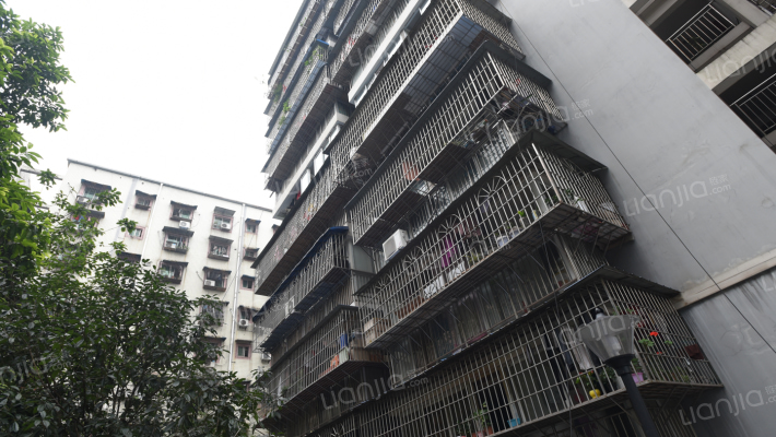 国雅蔷薇居外景图