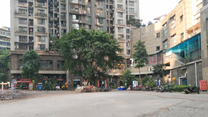 东方明珠外景图