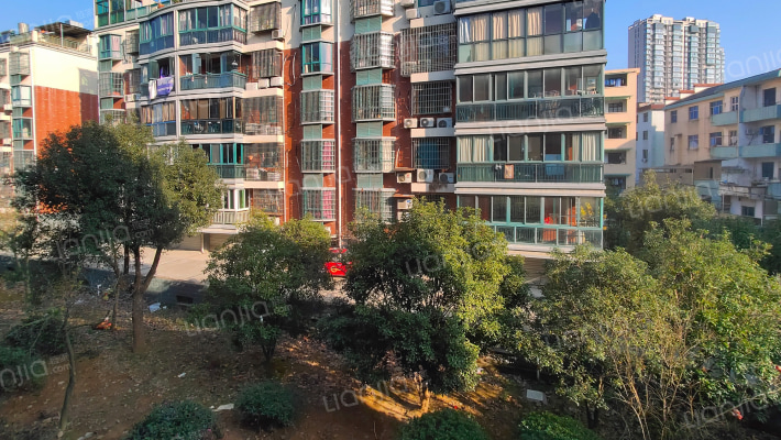 政安花苑外景图