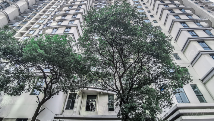 上海思南新苑房价怎么样思南新苑房源户型图小区车位交通地址详情分析