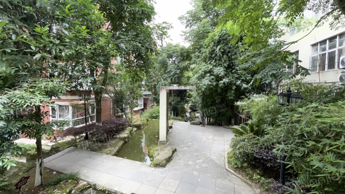 森林故事外景图