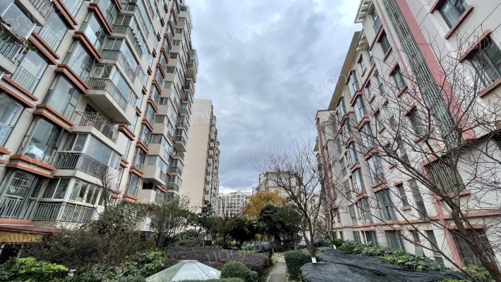 枫林盛景西区外景图