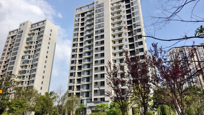 帝辰观澜荟锦外景图