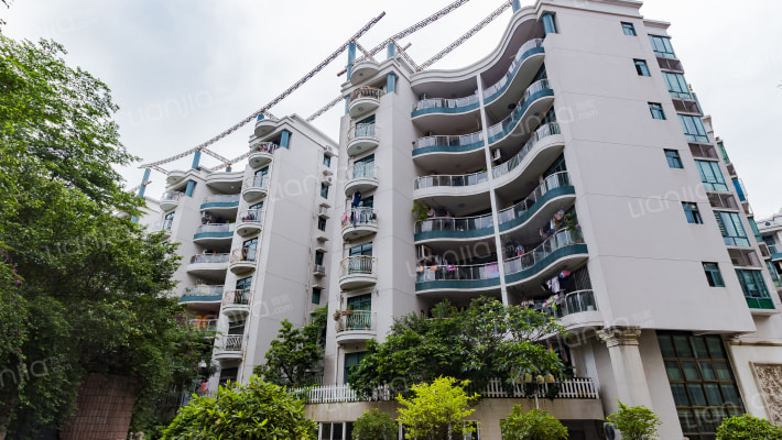 银星雅苑外景图