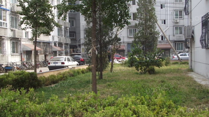 林萃路10号院外景图