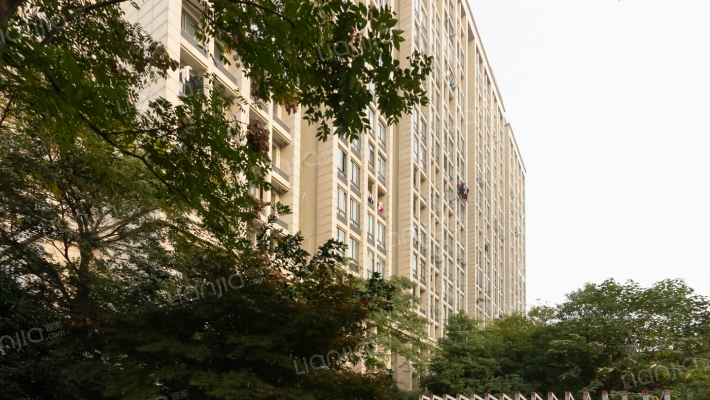 坂湖明珠外景图