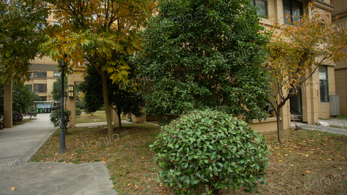 东城名苑外景图