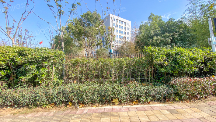 老县政府大院外景图