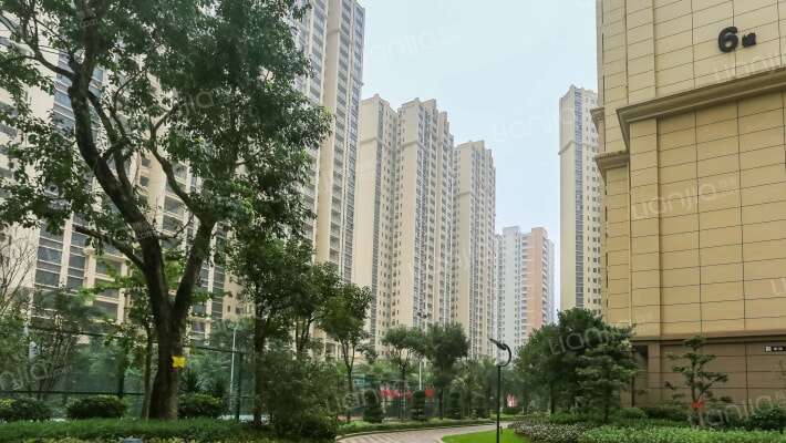 越亚天赐良园外景图