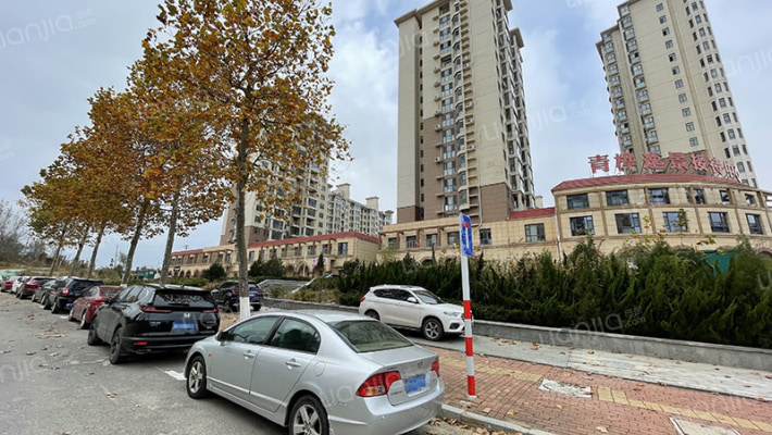 青桦逸景外景图