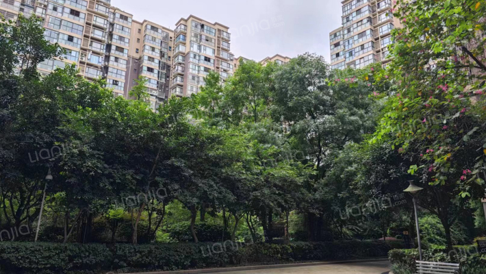 鲜花大院外景图