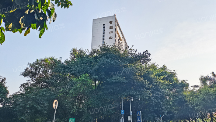 青湖中心外景图