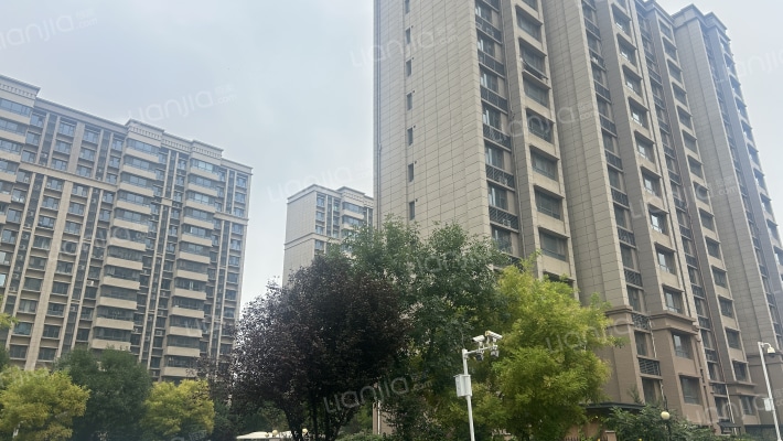 淄博碧桂园流苏园外景图