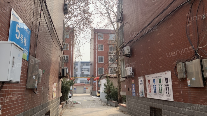 税苑小区外景图