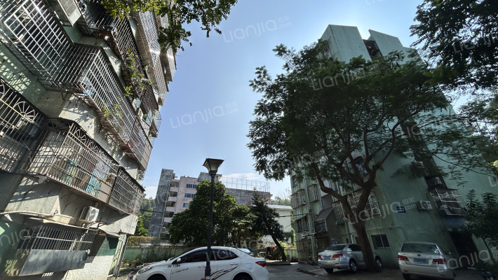 黄金石花园外景图