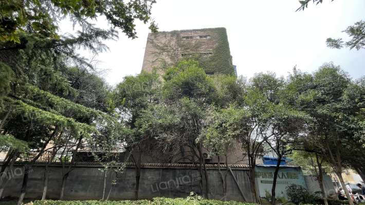 蔬菜公司住宅楼外景图