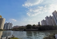 中远两湾城15
